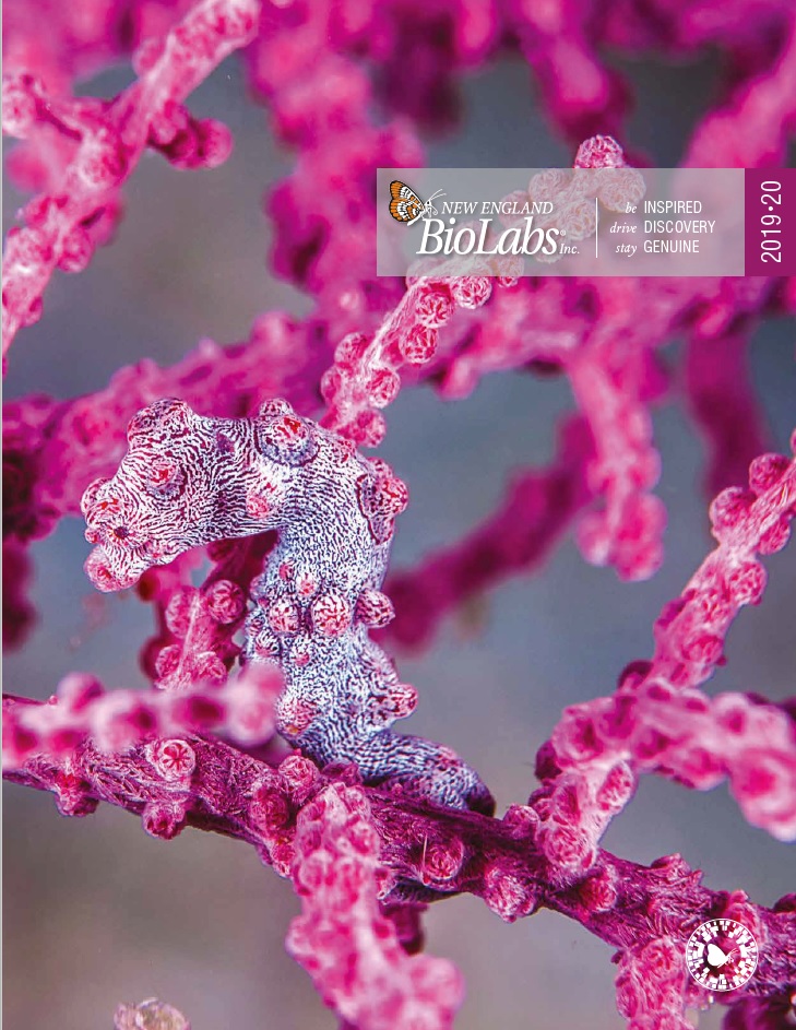 New England Biolabs Catalog 2019 2020 New England Biolabs Catalog 2019 2020